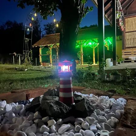 Vida Krusevac